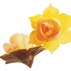 FLORENSUC Fleurs de Jonquille orange x5 - en Azyme Discount