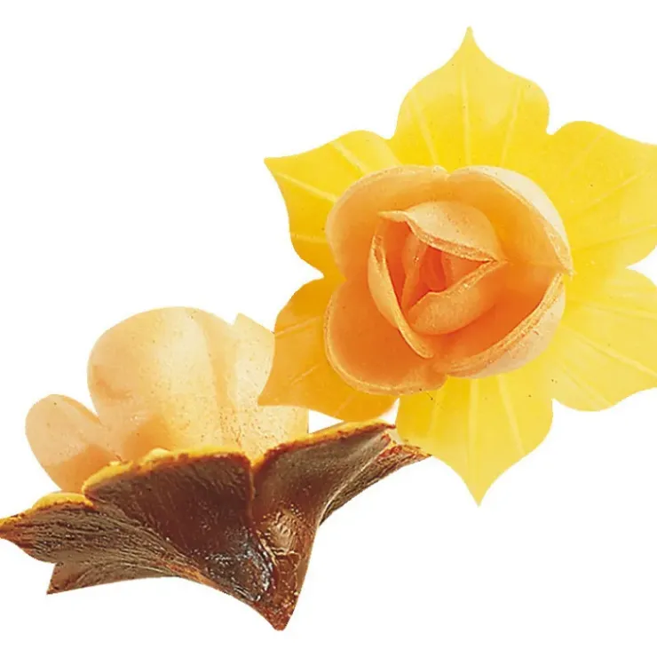 FLORENSUC Fleurs de Jonquille orange x5 - en Azyme Discount