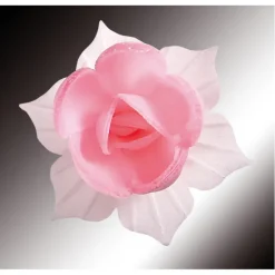 FLORENSUC Fleurs de Jonquille rose x5 - en Azyme Clearance
