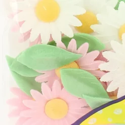 FLORENSUC Fleurs de Marguerites roses et blanches x12 - en Azyme Hot