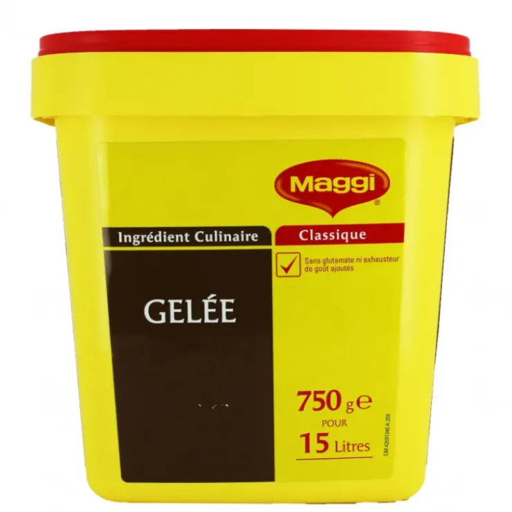 CUISINEADDICT Gelée Maggi 15L 750g Sale