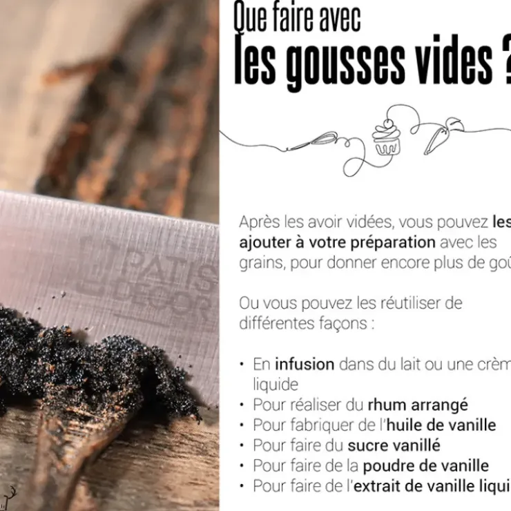 PATISDECOR Gousse de Vanille de Nouvelle Guinée Bio (x2) Patisdécor Hot