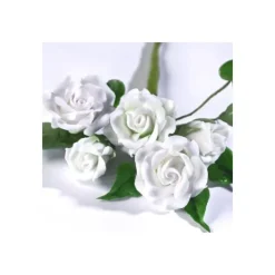 RENSHAW Gum Paste Blanc 250 g Outlet