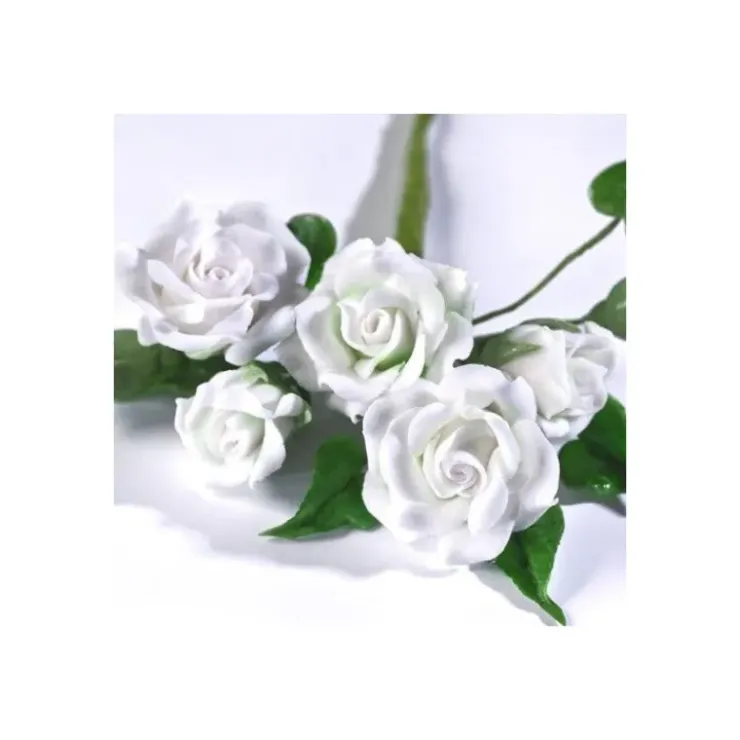 RENSHAW Gum Paste Blanc 250 g Outlet