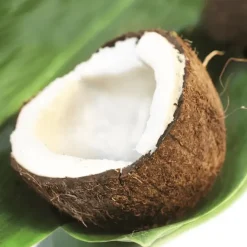 TERRE EXOTIQUE Huile de Coco 150 ml Online
