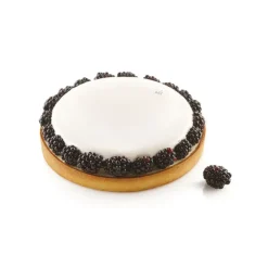 SILIKOMART Kit Moule Silicone 1 Tarte Ø 210mm Professional Best