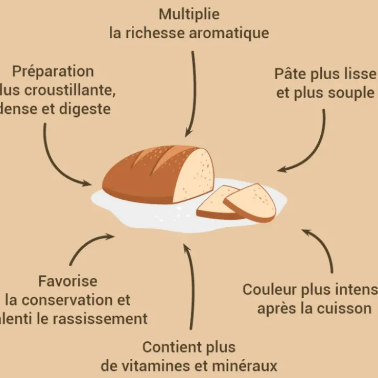 PATISDECOR Levain de seigle et levure 150 g Patisdécor Sale