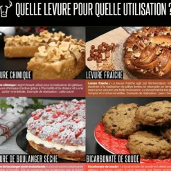 PATISDECOR Levure Chimique 60 g Patisdécor New