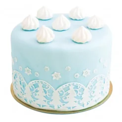 SCRAPCOOKING Meringues Cannelées 40g
