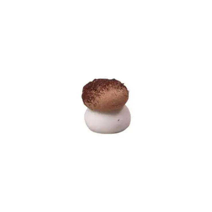 FLORENSUC Mini Champignon en Sucre Beige 12 x 10 mm (x384) Discount