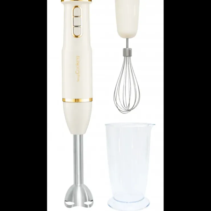 SCRAPCOOKING Mixeur Plongeant Hachoir Hot