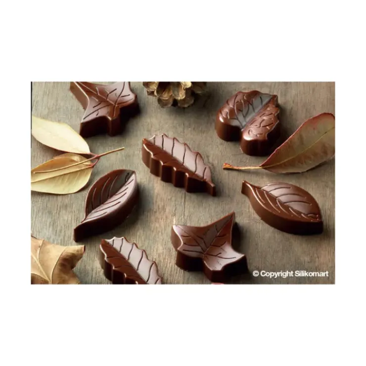 EASY CHOC Moule à Chocolat 8 Feuilles - Silicone Spécial Chocolat Discount