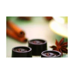 EASY CHOC Moule à Chocolat 15 Ronds - Silicone Spécial Chocolat Best