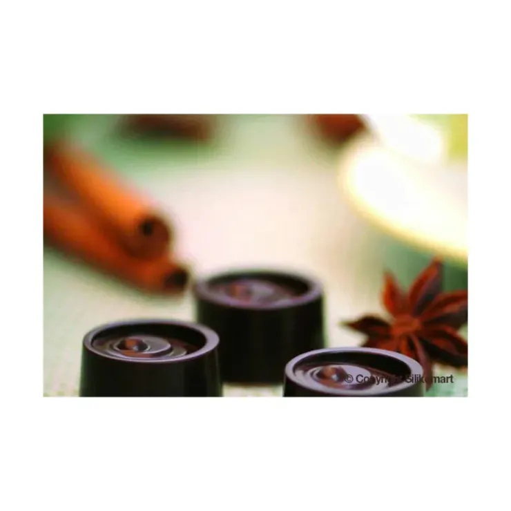 EASY CHOC Moule à Chocolat 15 Ronds - Silicone Spécial Chocolat Best