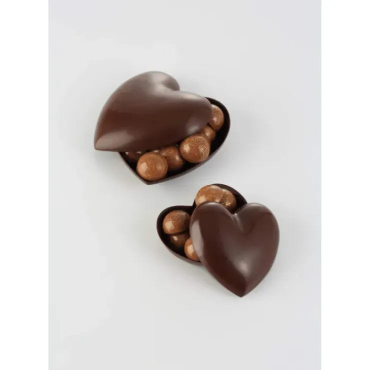 BARRY Moule à Chocolat Coeurs 8 cm et 10 cm Best