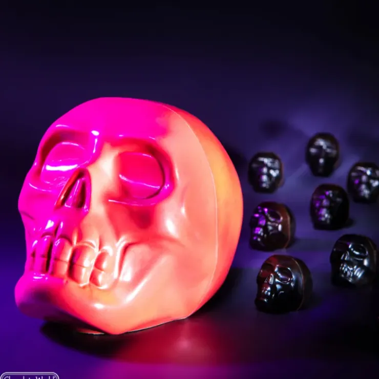 CHOCOLATE WORLD Moule Chocolat Aimanté Crâne Halloween 10,7 cm