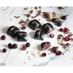 CHOCOLATE WORLD Moule Chocolat Carré Bombé 25,5 mm (x24) New
