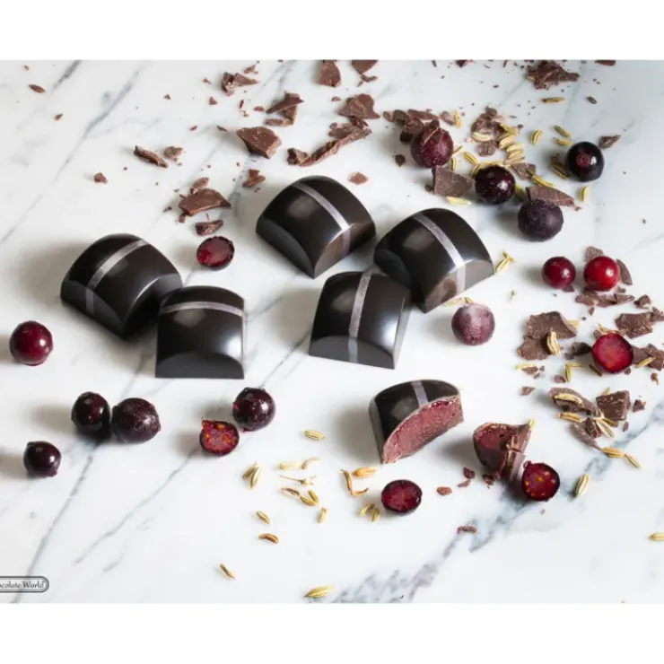 CHOCOLATE WORLD Moule Chocolat Carré Bombé 25,5 mm (x24) New