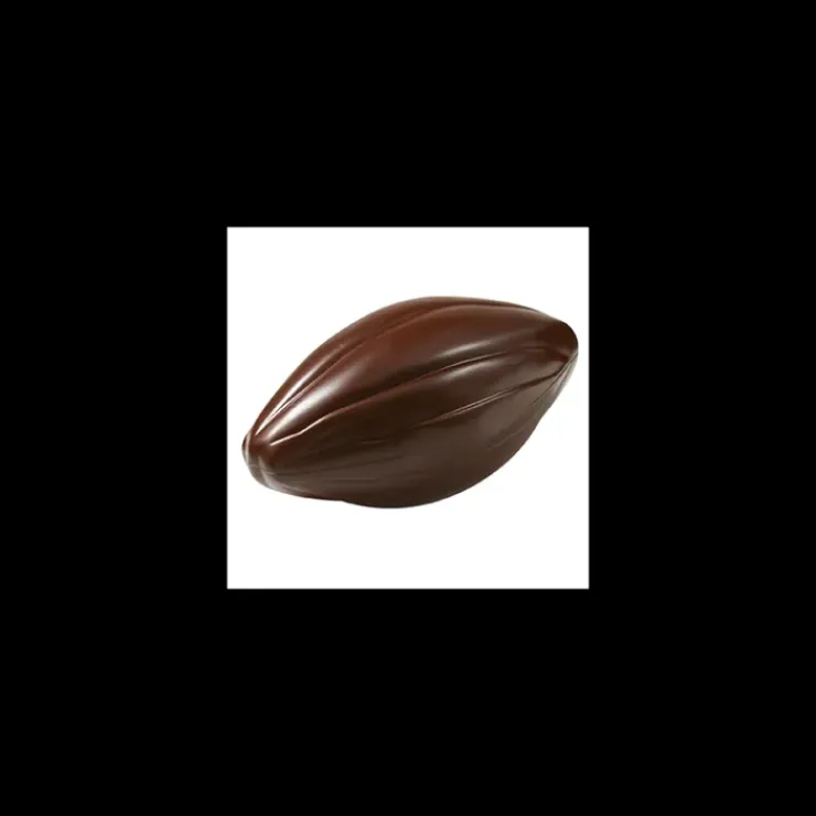 BARRY Moule Chocolat Grosse Cabosse 195 mm (x2) Clearance