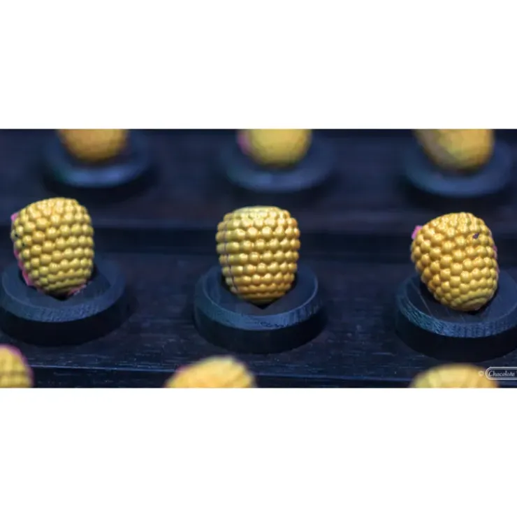 CHOCOLATE WORLD Moule Chocolat Patrick De Vries Hybritage Raspberry 29,5 mm (x24) Clearance