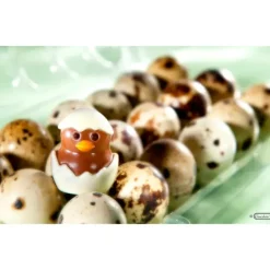 CHOCOLATE WORLD Moule Chocolat Poussin 33 mm (x12) Sale