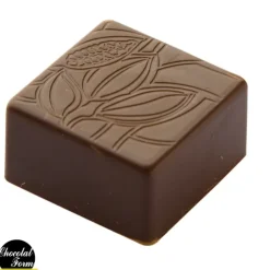 Chocolat Form Moule Chocolat Praline Carrée Fève 2,5 cm (x24) Online