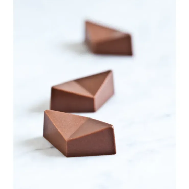 CHOCOLATE WORLD Moule Chocolat Praline Tropicale Buddy Trinidad (x21) New