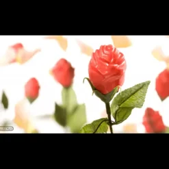CHOCOLATE WORLD Moule Chocolat Rose Ouverte 12 Cavités Outlet