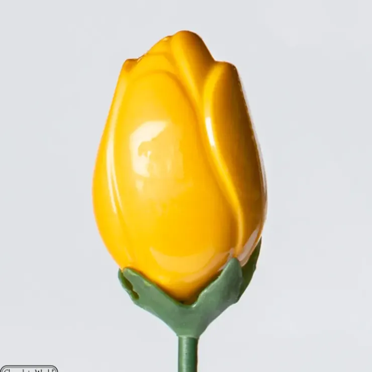 CHOCOLATE WORLD Moule Chocolat Tulipe 12 Cavités Hot