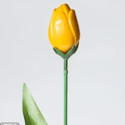 CHOCOLATE WORLD Moule Chocolat Tulipe 12 Cavités Hot
