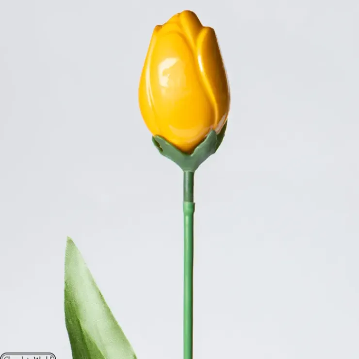 CHOCOLATE WORLD Moule Chocolat Tulipe 12 Cavités Hot