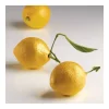 PAVONI Moule Silicone 8 Citrons 85 ml Cédric Grolet Clearance