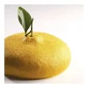 PAVONI Moule Silicone Citron 1215 ml Cédric Grolet Sale