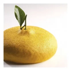 PAVONI Moule Silicone Citron 1215 ml Cédric Grolet Sale