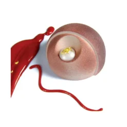 PAVOFLEX Moule Silicone Éclipse Ø 7,2 cm x H 4,1 cm (x24)