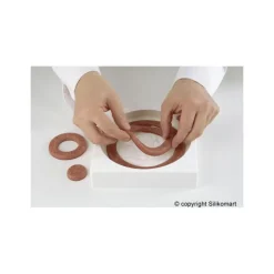SILIKOMART Moule Silicone Insert 12 Cercles Ø 26 cm Professional