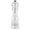 PEUGEOT Moulin à Sel Nancy 22 cm Transparent Best