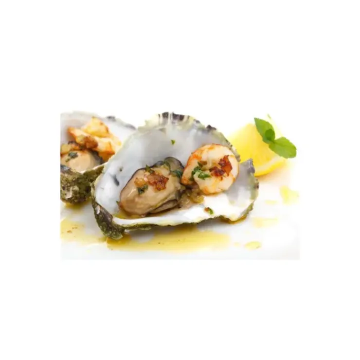 EKEN Ouvre Huitres Clé de Neptune Gris Hot