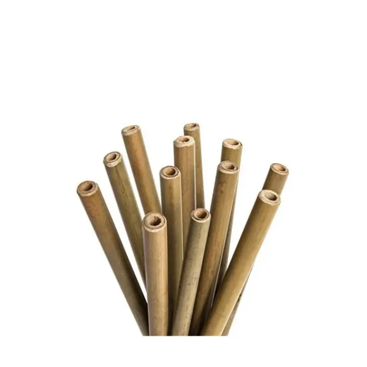 LEBRUN Paille en Bambou 20cm x12 Clearance