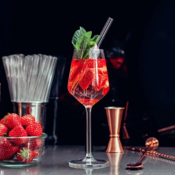 CUISINEADDICT Paille Réutilisable en Verre 20cm droite x6 HALM New