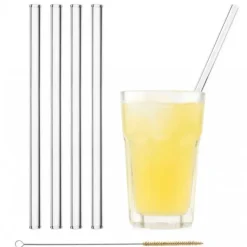 CUISINEADDICT Paille Réutilisable en Verre 23cm droite x4 HALM Hot