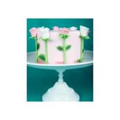 FUNCAKES Poudre comestible Vert houx 1,2 g Discount