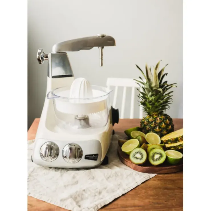 ANKARSRUM Presse Agrumes pour le robot culinaire Hot