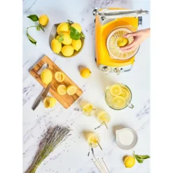ANKARSRUM Presse Agrumes pour le robot culinaire Hot