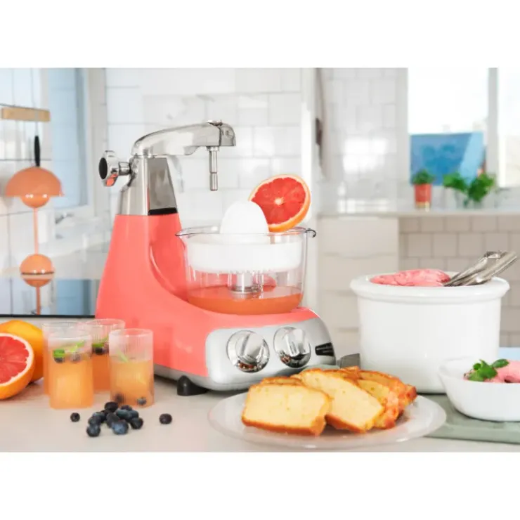ANKARSRUM Presse Agrumes pour le robot culinaire Hot