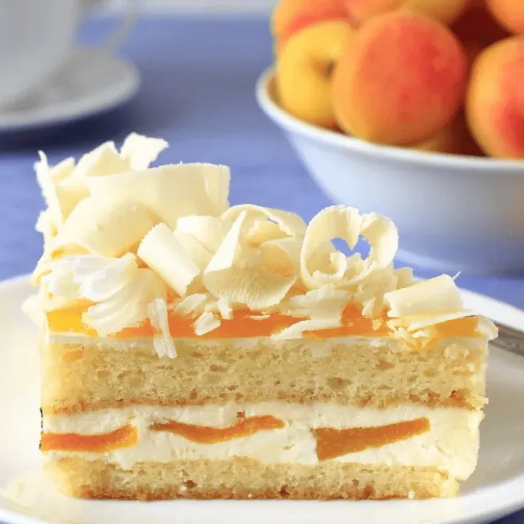 PATISDECOR Préparation Bavarois Abricot 100 g Patisdécor Clearance