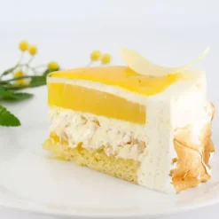 PATISDECOR Préparation Bavarois Gel Citron 100 g Patisdécor Discount