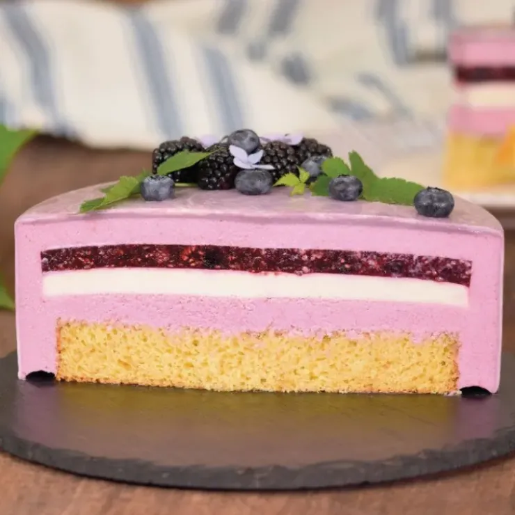 PATISDECOR Préparation Bavarois Gel Fruits des Bois 100 g Patisdécor Sale