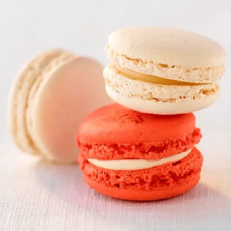 PATISDECOR Préparation pour Coques de Macarons 250 g Patisdécor Discount