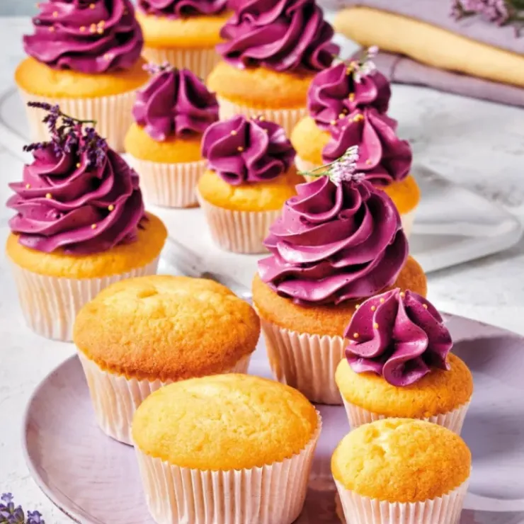 FUNCAKES Préparation pour Cupcakes 1 kg Discount